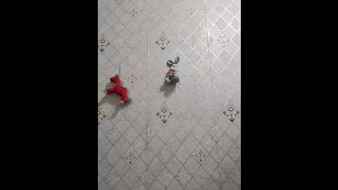 heavenly_wings @ bongacams on 20251017