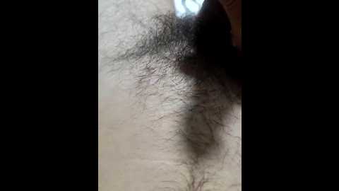 gumalis13 @ bongacams on 20251018