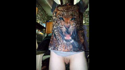kissa_kot