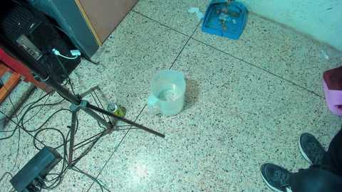 interracial_bang @ bongacams on 20251022