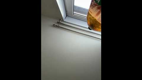 _maybebaby_ @ bongacams on 20251023