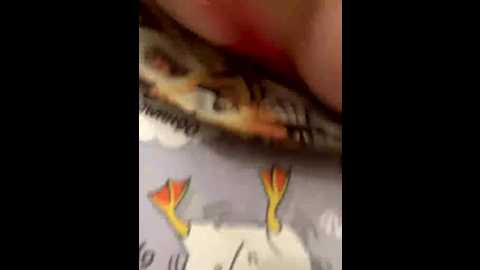 markandhella @ bongacams on 20251023