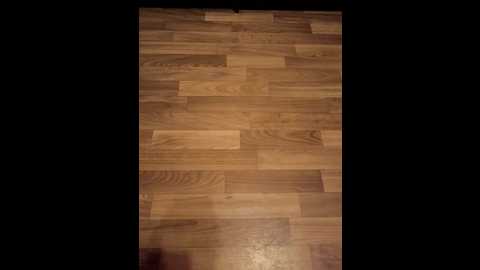 sweetcontakt @ bongacams on 20251023