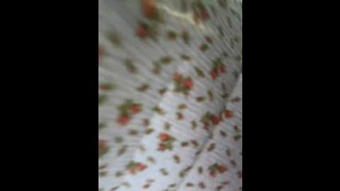 orgazmia @ bongacams on 20251024