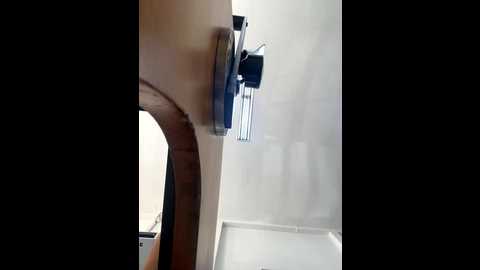 sallyeleins @ bongacams on 20251024