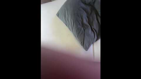 pornorabbits @ bongacams on 20251025