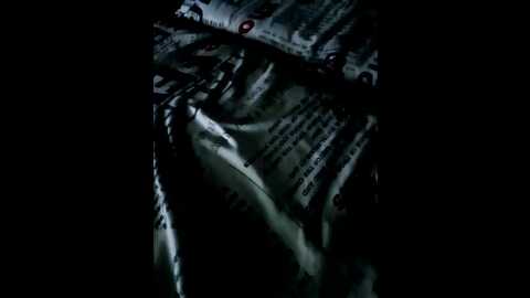 cat_bars69 @ bongacams on 20251027