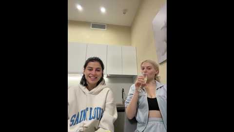 vibromashulkadashulka