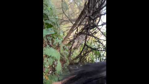 markaa0 @ bongacams on 20251031