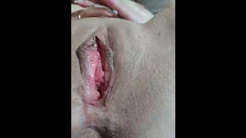 kinshakov80a @ bongacams on 20251101