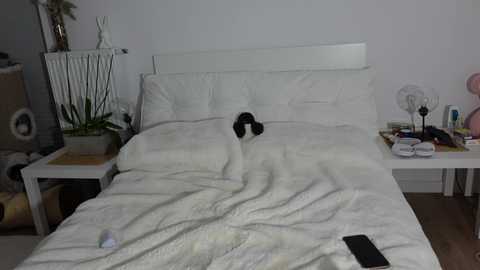 taanni @ bongacams on 20251101