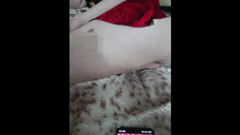 kiska_zavr @ bongacams on 20251103