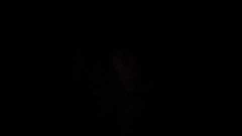 helgaleo @ bongacams on 20251105