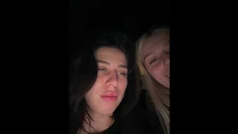 vibromashulkadashulka