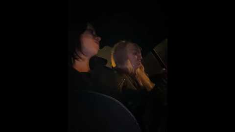 vibromashulkadashulka