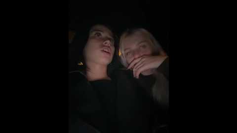 vibromashulkadashulka