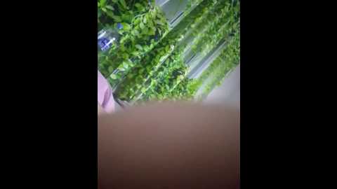 katya9194oleg @ bongacams on 20251109