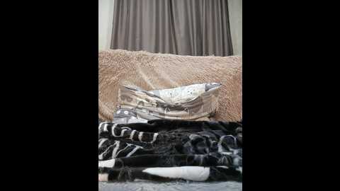 kristicat @ bongacams on 20251110