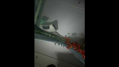 anitashine @ bongacams on 20251112