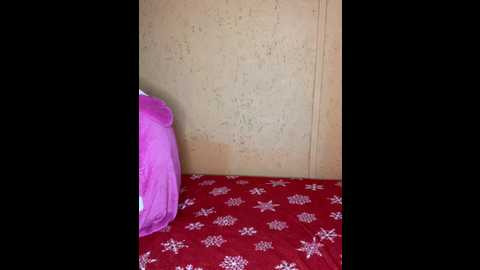 cat_meowa @ bongacams on 20251112