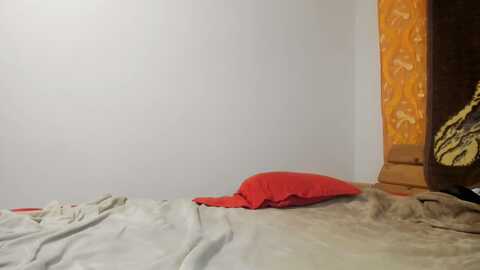 inocent_student17 @ chaturbate on 20230827