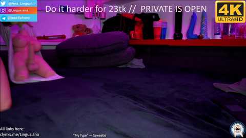 ana__lingus @ chaturbate on 20230903
