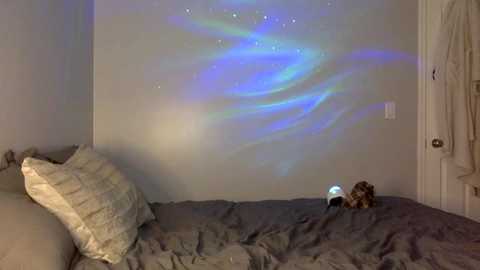 sunshinedarling1 @ chaturbate on 20230904