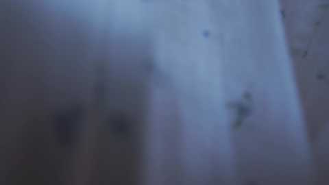 bibi_it_is @ chaturbate on 20230930