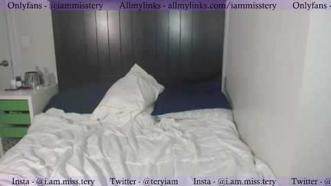 iammisstery @ chaturbate on 20230930