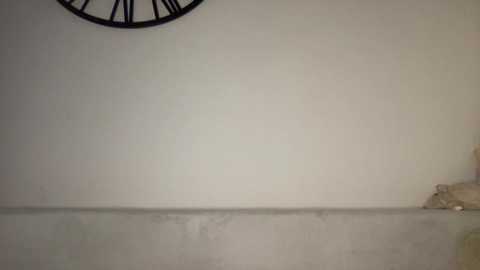 angel_from_sky @ chaturbate on 20231005
