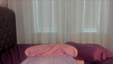 angelina_new @ chaturbate on 20231012