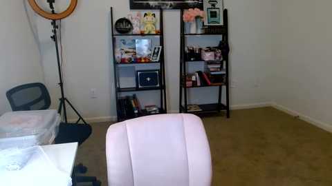 sexybestie_xo @ chaturbate on 20231012