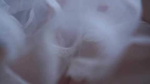 bibi_it_is @ chaturbate on 20231014