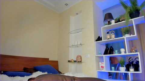 felissiany @ chaturbate on 20231020