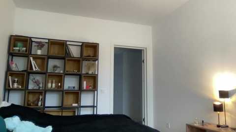 wonderland_stia @ chaturbate on 20231021