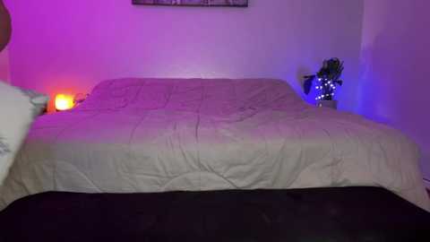 wildcouple_6960 @ chaturbate on 20231022