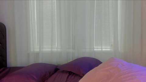 angelina_new @ chaturbate on 20231024