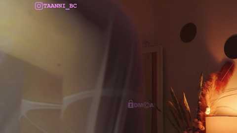 taanni_bc @ chaturbate on 20231027