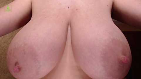 incrediblyomelia @ chaturbate on 20231112