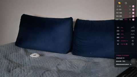 minimollyq @ chaturbate on 20231115