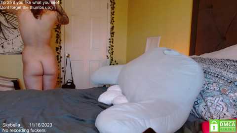 skybella_ @ chaturbate on 20231116