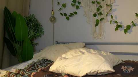 eli_sun @ chaturbate on 20231123