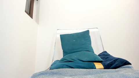 hotfallingdevil @ chaturbate on 20231201