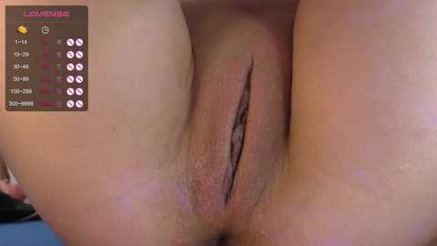 queenelia @ chaturbate on 20231201