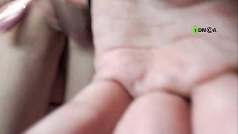 sisirabbit_