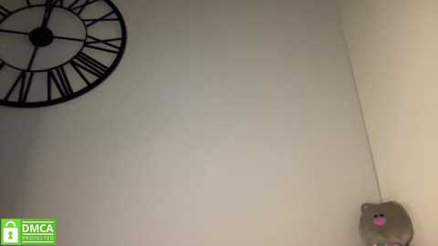 angel_from_sky @ chaturbate on 20231211