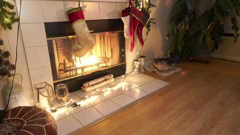 phoenix_taylor @ chaturbate on 20231213
