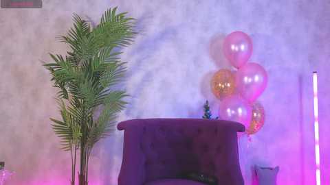 angelina_new @ chaturbate on 20231225