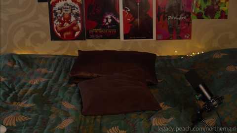 _northern_girl_ @ chaturbate on 20231226