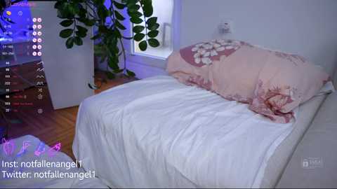 notfallenangel @ chaturbate on 20240107